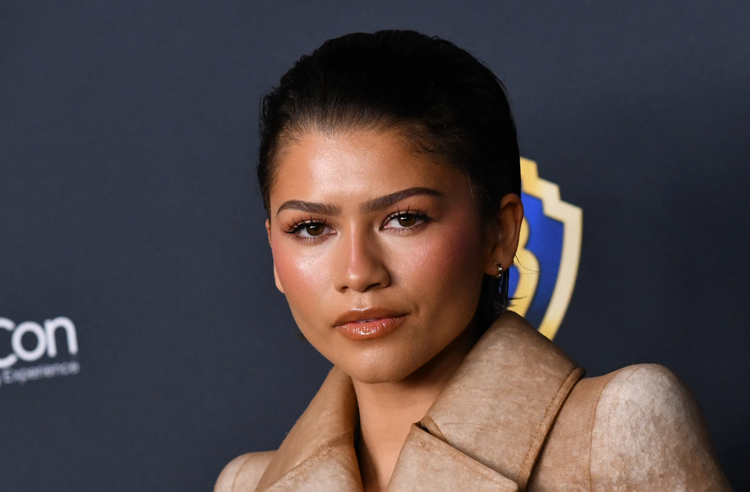 Zendaya Skips Met Gala 2026