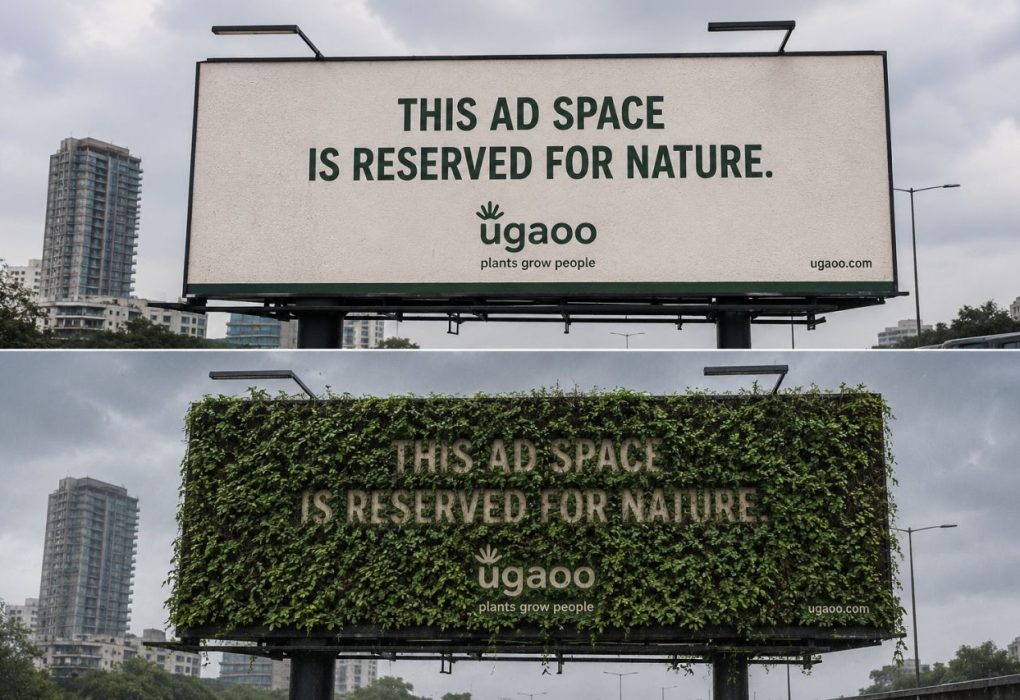 This ad space is reserved for nature