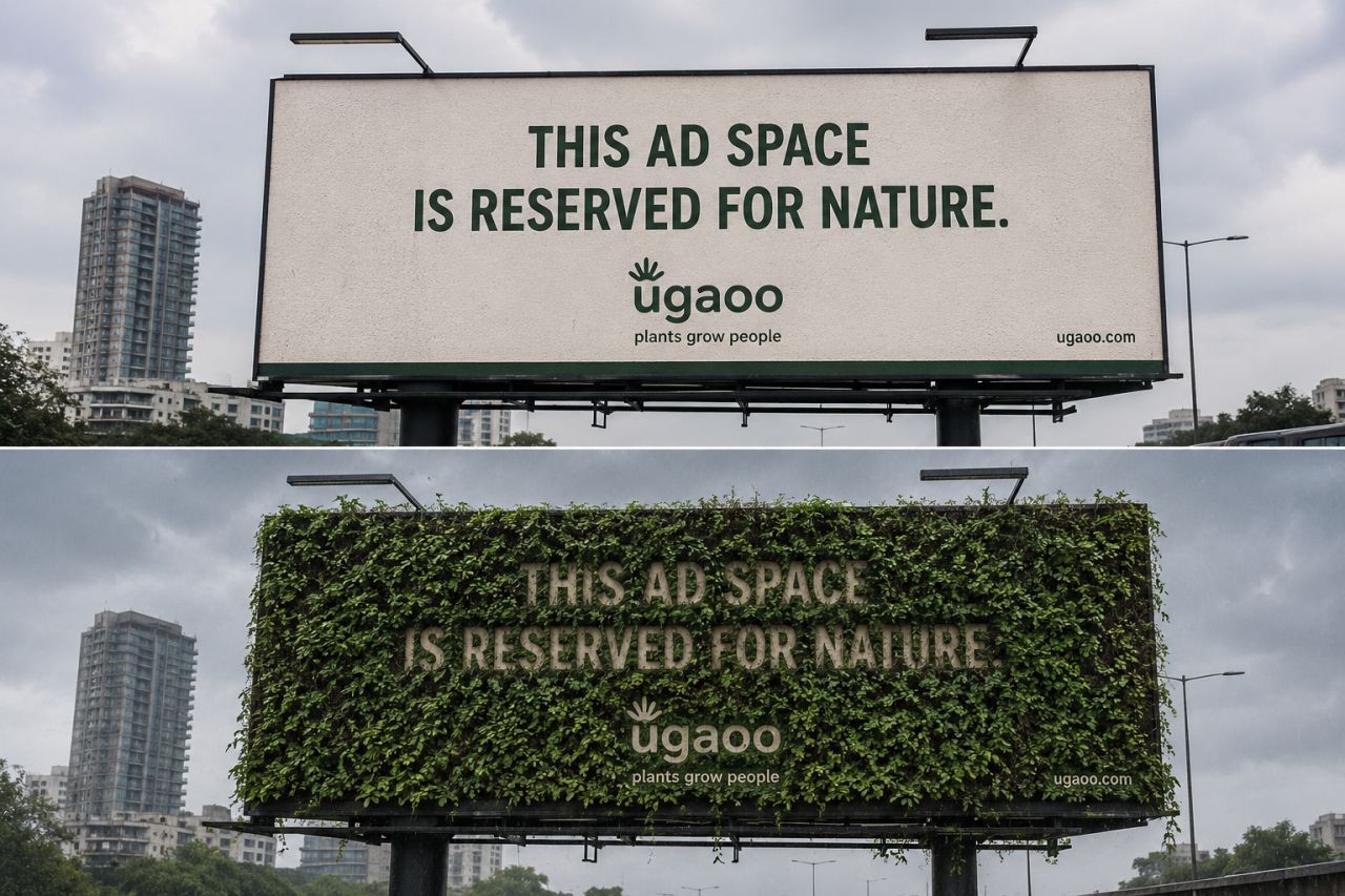 This ad space is reserved for nature